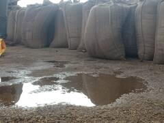 ਮੀਂਹ ਕਾਰਨ ਮੰਡੀਆਂ 'ਚ ਭਿੱਜੀ ਫਸਲ, ਵੇਖੋ ਤਸਵੀਰਾਂ