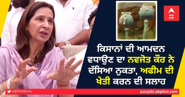 point of Navjot Kaur to increase the income of farmers, advice to cultivate opium ਕਿਸਾਨਾਂ ਦੀ ਆਮਦਨ ਵਧਾਉਣ ਦਾ ਨਵਜੋਤ ਕੌਰ ਨੇ ਦੱਸਿਆ ਨੁਕਤਾ, ਅਫੀਮ ਦੀ ਖੇਤੀ ਕਰਨ ਦੀ ਸਲਾਹ