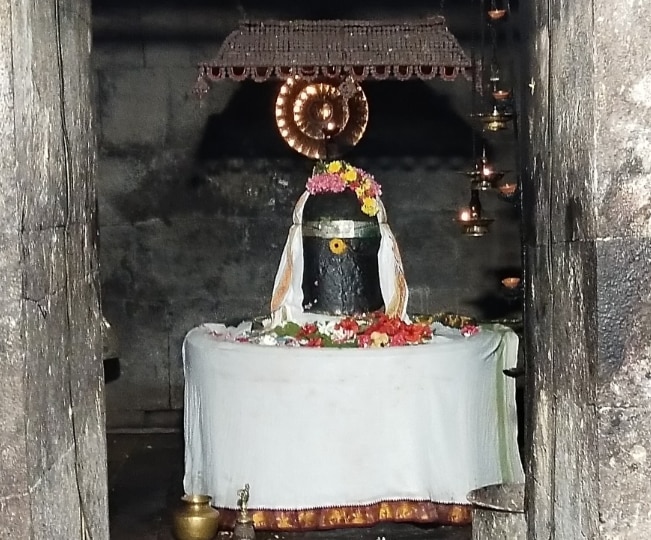 Bhoomeeshwarar Temple: உலக மக்களின் நன்மை வேண்டி மரக்காணம் பூமீஸ்வரர் கோயிலில்  ஜப்பான் நாட்டினர்  சிறப்பு யாகம்
