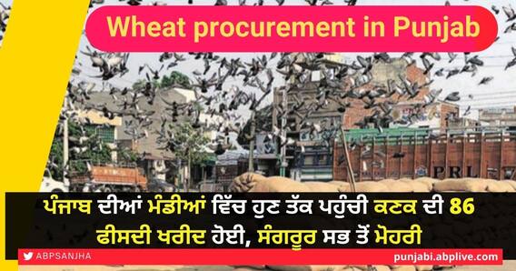 Wheat procurement in Punjab: ਪੰਜਾਬ ਦੀਆਂ ਮੰਡੀਆਂ ਵਿੱਚ ਹੁਣ ਤੱਕ ਪਹੁੰਚੀ ਕਣਕ ਦੀ 86 ਫੀਸਦੀ ਖਰੀਦ ਹੋਈ, ਸੰਗਰੂਰ ਸਭ ਤੋਂ ਮੋਹਰੀ Wheat procurement in Punjab: ਪੰਜਾਬ ਦੀਆਂ ਮੰਡੀਆਂ ਵਿੱਚ ਹੁਣ ਤੱਕ ਪਹੁੰਚੀ ਕਣਕ ਦੀ 86 ਫੀਸਦੀ ਖਰੀਦ ਹੋਈ, ਸੰਗਰੂਰ ਸਭ ਤੋਂ ਮੋਹਰੀ