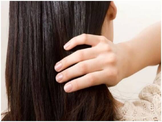 Hair Loss: जानिए ऐसे फूड के बारे में जो बालों के नुकसान की बन सकते हैं वजह Hair Loss: जानिए ऐसे फूड के बारे में जो बालों के नुकसान की बन सकते हैं वजह