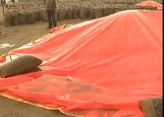 ਬਾਰਿਸ਼ ਕਾਰਨ ਵਧੀ ਕਿਸਾਨਾਂ ਦੀ ਮੁਸ਼ਕਿਲ