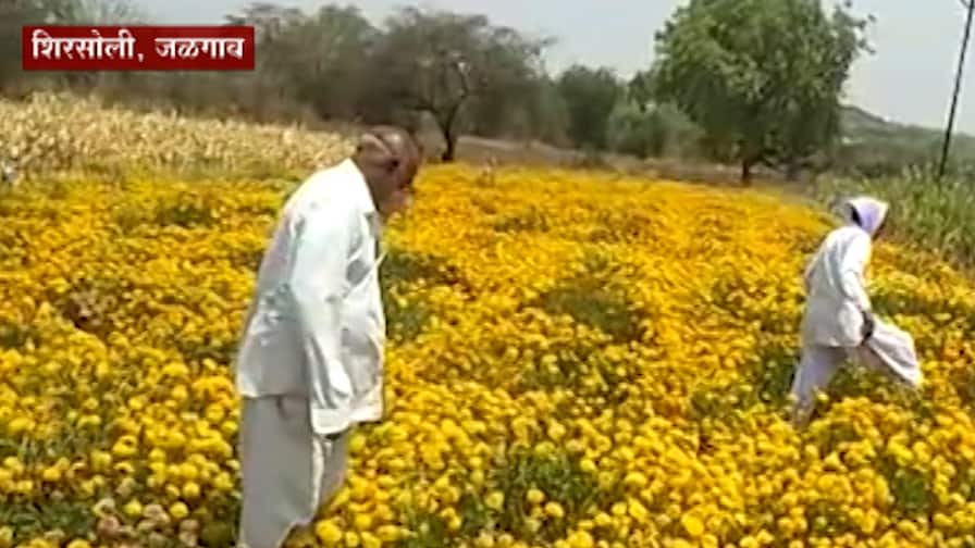 ABP News ABP News