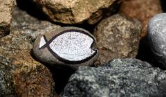 Sign On Palm: શું આપની હથેળીમાં છે આ નિશાન, બહુ નસીબદાર હોય છે આ  લોકો,જાણો શું મળે છે સુખ