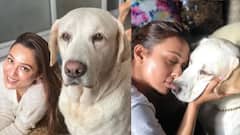 Mimi Chakraborty's Pet Dog: ক্যান্সারের বিরুদ্ধে লড়াই শেষ, চিকুর মৃত্যুতে মনমরা মিমি