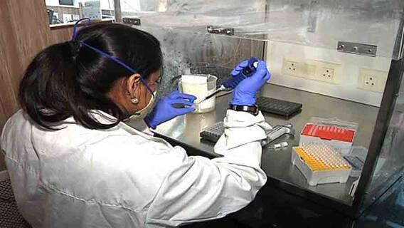 Covid Updates: রাজ্যে একদিনে করোনা আক্রান্তের সংখ্যা আট হাজার ছাড়াল, উদ্বিগ্ন চিকিৎসকমহল