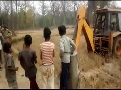 उत्तराखंड: उधमसिंह नगर में वन विभाग ने मुक्त कराई 25 हेक्टेयर जमीन, अवैध खेती नष्ट