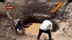 Yavatmal | विहिरीत पडलेल्या नील गायींना वाचवण्यात यश