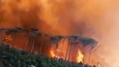South Africa: Massive fire breaks out at Table Mountain