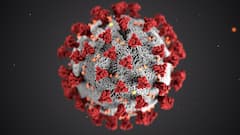 Coronavirus Cases in India cross 2.5 lakh mark for the 2nd consecutive day?