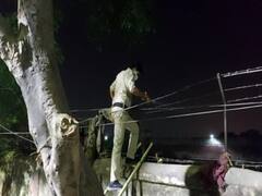 बिहार: कैदियों की मदद से मुजफ्फरपुर सेंट्रल जेल से भाग रहे थे दो कैदी, पुलिस ने किया गिरफ्तार