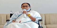 Mamata on Coronavirus: লকডাউন করলেই কি সব কমে যাবে, প্রশ্ন মমতার