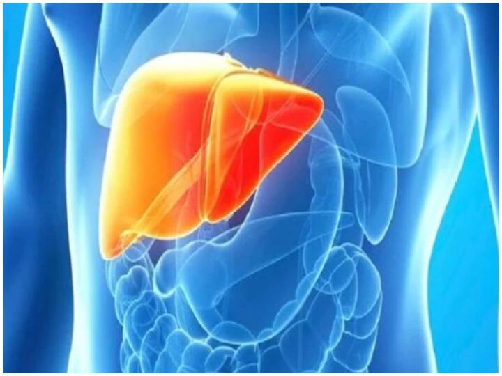 World Hepatitis Day Corona fatal for liver patients Dr advised to get vaccinated soon World Hepatitis Day: लिवर मरीजों के लिए है कोरोना जानलेवा, डॉ ने दी जल्द टीका लगवाने की सलाह