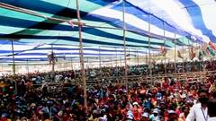 कोरोना की वजह से सब कुछ रुक सकता है तो बंगाल में चुनाव प्रचार क्यों नहीं? | कौन बनेगा मुख्यमंत्री