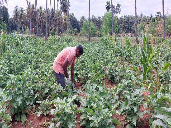 ‛மென்பொருள் வேண்டாம்... மண் பொருள் போதும்’ சாதித்த ஆன்ட்ராய்டு விவசாயி