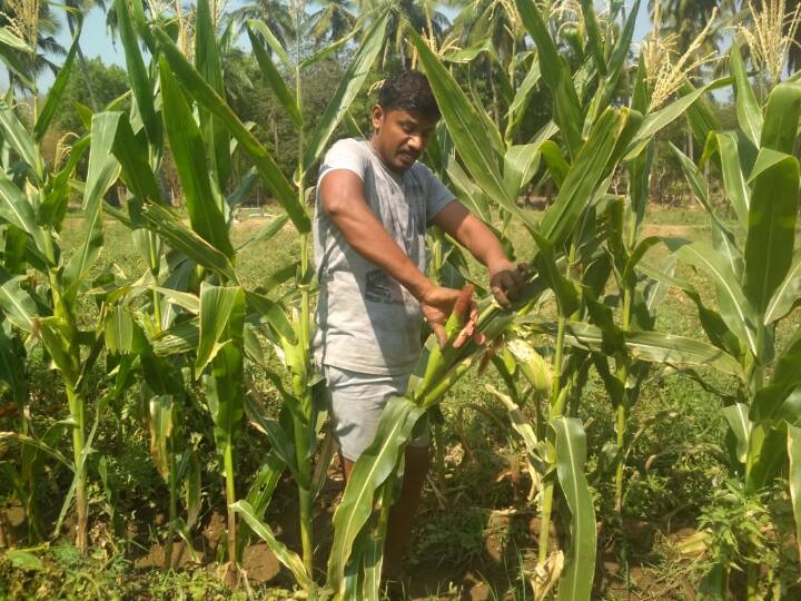 graduate quits job trap sells products invented helping agriculture farmers online application ‛மென்பொருள் வேண்டாம்... மண் பொருள் போதும்’ சாதித்த ஆன்ட்ராய்டு விவசாயி