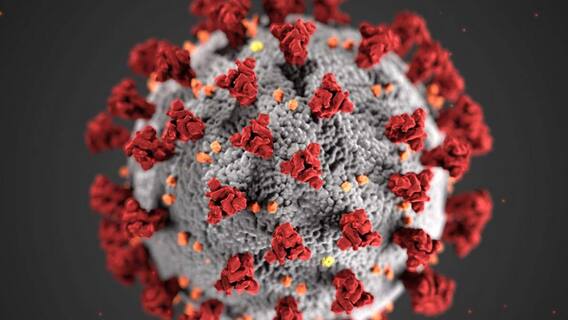 Uttarakhand में 24 घंटे में मिले कोरोना के तीन हजार से ज्यादा केस, जानें- जिलेवार आंकड़ा