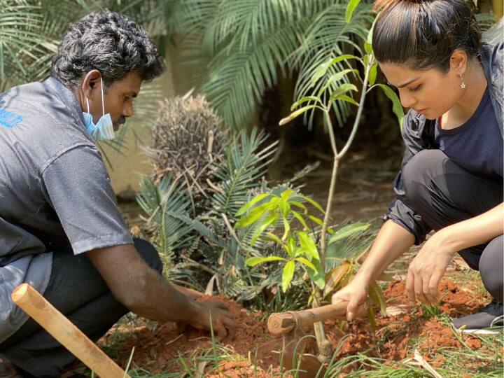 Actress Aathmika Planting Saplings