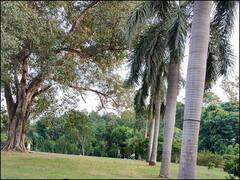 पार्कों के मेंटेनेंस को लेकर निगम का बड़ा फैसला, प्राइवेट पार्टी को दिया जाएगा जिम्मा