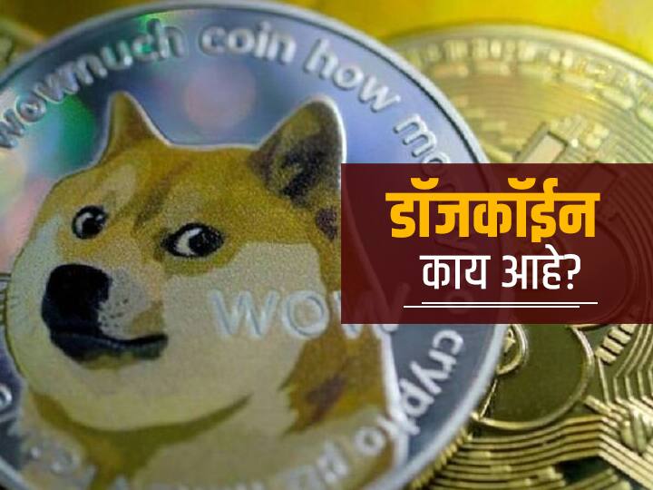 What is cryptocurrency Dogecoin why the sudden rise in its price Dogecoin | डॉजकॉईन काय आहे? त्याच्या किंमतीत अचानक का वाढ होतेय? 