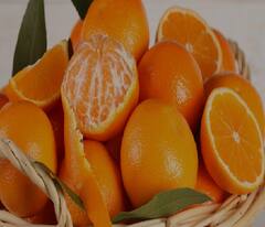 Health Tips: કોરોના સામે લડવા માટે ઇમ્યુનિટી જરૂરી, આ ફળોને અચૂક ડાયટમાં કરો સામેલ