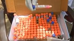 ਜੇ ਤੁਸੀ ਬਿਨਾਂ ਮਾਸਕ ਤੋਂ ਘਰੋਂ ਬਾਹਰ ਨਿਕਲ ਰਹੇ ਹੋ ਤਾਂ ਪੁਲਿਸ ਕਰ ਰਹੀ ਤੁਹਾਡਾ ਇੰਤਜ਼ਾਰ