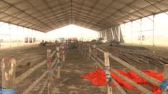 Malda: Covid test done before attending the rally: Tapas Kumar Gupta