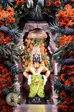 PHOTO : सुंदर ते ध्यान उभे विटेवरी... विठुरायाच्या गाभाऱ्यात फळा-फुलांचा बहर, रामनवमीनिमित्त आकर्षक सजावट