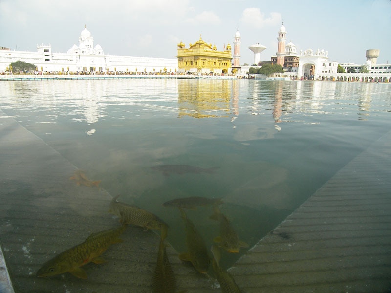 Sarovar of Sri Harmandir Sahib: ਸ਼੍ਰੀ ਹਰਿਮੰਦਰ ਸਾਹਿਬ ਸਾਹਿਬ ਦੇ ਸਰੋਵਰ 'ਚ ਕਿੱਥੋਂ ਆਉਂਦਾ ਜਲ, ਪੜ੍ਹੋ ਦਿਲਚਸਪ ਤੇ ਹੈਰਾਨ ਕਰ ਦੇਣ ਵਾਲੇ ਤੱਥ