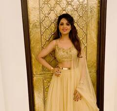 In Pics | 'द कपिल शर्मा ' या शोमधील ‘विद्यावती' अडकणार विवाहबंधनात