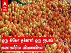 ஒரு கிலோ தக்காளி ஒரு ரூபாய்! கண்ணீரில் விவசாயிகள்