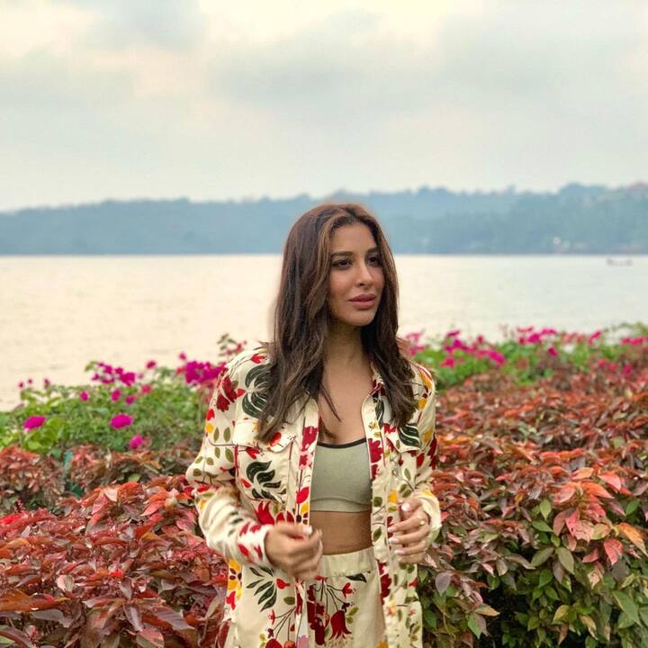 सोफी घूमने की शौकीन हैं और अर्थ डे के मौके पर उन्होंने अलग-अलग देशों में क्लिक की गईं अपनी तस्वीरें पोस्ट की हैं.