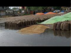 ਕਿਸਾਨਾਂ 'ਤੇ ਮੀਂਹ ਤੇ ਗੜ੍ਹੇਮਾਰੀ ਦੀ ਮਾਰ, ਮੰਡੀਆਂ 'ਚ ਭਿੱਜੀ ਕਣਕ