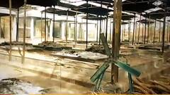 Corona का प्रचंड स्वरूप, टूटती हुई सांस... खत्म होती आस, तस्वीरें रूह कंपा देगी | High Alert