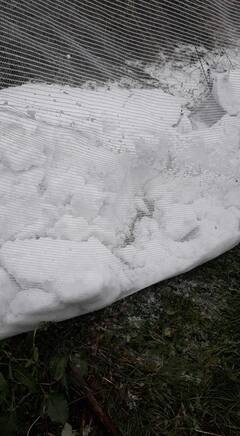 ਭਾਰੀ ਗੜੇਮਾਰੀ ਨੇ ਬਾਗਬਾਨਾਂ ਦੀਆਂ ਉਮੀਦਾਂ 'ਤੇ ਫੇਰਿਆ ਪਾਣੀ, ਵੱਡਾ ਨੁਕਸਾਨ