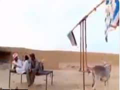 देसी जुगाड़: गर्मी से राहत पाने के लिए लोगों ने ऐसे किया गधे का इस्तेमाल, खूब वायरल हो रहा है वीडियो