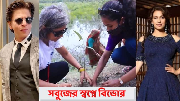 IPL 2021 Exclusive: Juhi Chawla and KKR take initiative of planting 5000 Mangrove and other saplings in the  Amphan devastated Sundarban KKR Exclusive: উদ্যোগী জুহি, আমফান বিধ্বস্ত সুন্দরবনে ম্যানগ্রোভের চারা বসাচ্ছে কেকেআর