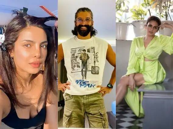 बॉलिवूड गाजवणारे अनेक कलाकार आता हॉलिवूडच्या मार्गावर आहेत. प्रियंका चोप्राच्या व्यतिरिक्त आता फरहान अख्तर, हुमा कुरेशी आणि धनुषच्या हातात आता हॉलिवूडचे मोठे प्रोजेक्ट आहेत. त्यामुळे त्यांना आता आंतरराष्ट्रीय ओळख मिळण्याची शक्यता आहे.