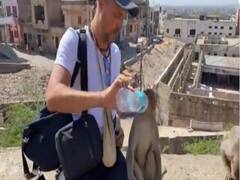 Viral: शख्स ने बंदरों को बोतल से पिलाया पानी, सोशल मीडिया पर तारीफ बटौर रहा वीडियो