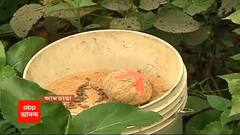 West Bengal Election 2021: আমডাঙায় বুথের অদূরে তাজা বোমা উদ্ধার ঘিরে আতঙ্ক