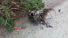 West Bengal Election 2021: ষষ্ঠ দফা ভোটের আগে আমডাঙাতে বোমাবাজি, অশান্তি নবদ্বীপেও