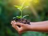 Earth Day 2021 Theme : உலக பூமி தினம்.. கூகுள் நிறுவனம் வெளியிட்ட விழிப்புணர்வு டூடுல்..