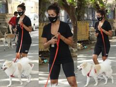 Spotted: कोरोना के बीच मास्क पहने कुत्ते को वॉक कराने निकलीं मलाइका अरोड़ा, देखिए शानदार तस्वीरें