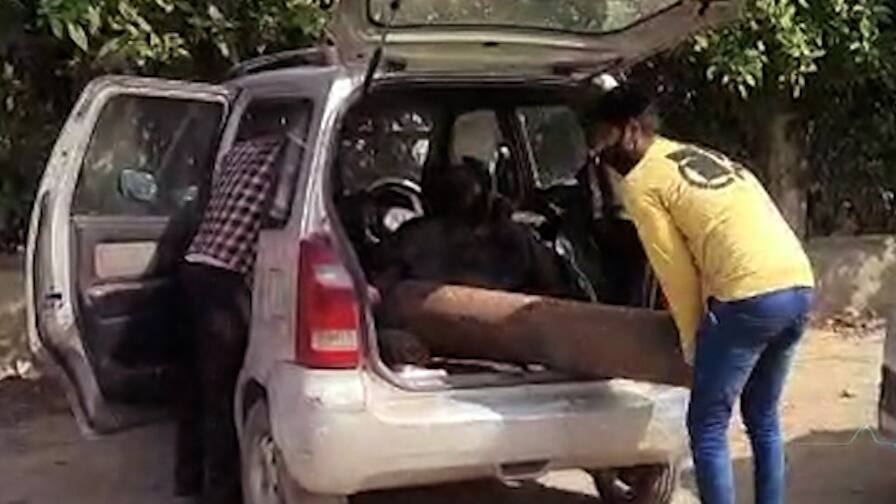 ABP News ABP News