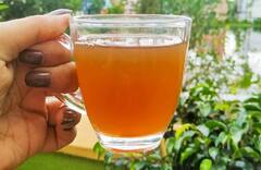 ઇમ્યુનિટી વધારતા ઉકાળાની સાઇડ ઇફેક્ટ પણ છે, થઇ શકે છે આ પ્રકારનું નુકસાન