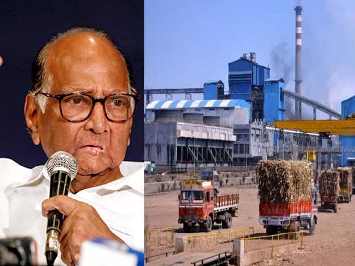 Sharad Pawar suggested Sugar mills in the state should produce and supply oxygen राज्यातील साखर कारखान्यांनी ऑक्सिजनची निर्मिती आणि पुरवठा करावा, शरद पवारांच्या सूचना