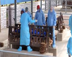 कोरोनाने तोडल्या जाती धर्माच्या भिंती, पुण्यात कोरोनाबाधित मृतदेहांवर अंत्यसंस्कारासाठी मुस्लिम बांधवांचा पुढाकार