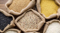 Covid Updates: করোনাকালে ৮০ কোটি মানুষকে মাসে ৫ কেজি করে খাদ্যশস্য দেবে কেন্দ্র