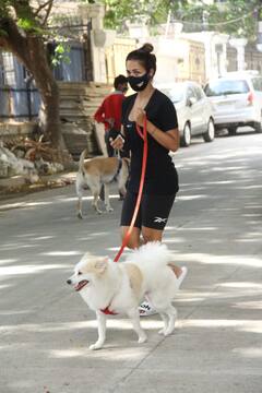 Spotted: कोरोना के बीच मास्क पहने कुत्ते को वॉक कराने निकलीं मलाइका अरोड़ा, देखिए शानदार तस्वीरें