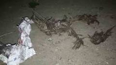 WB Election 2021: আমডাঙায় অব্যাহত ভোট-পরবর্তী হিংসা, রাতে বোমাবাজি, আতঙ্কিত স্থানীয়রা